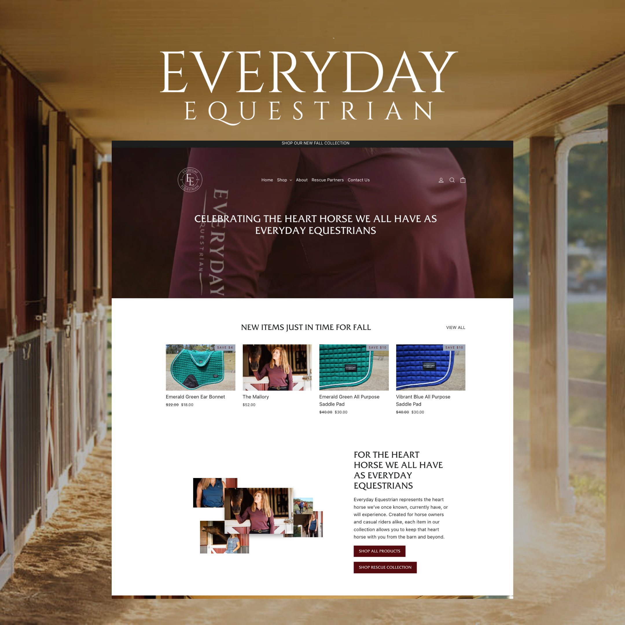 Brand and website design for equestrian brand, Everyday Equestrian